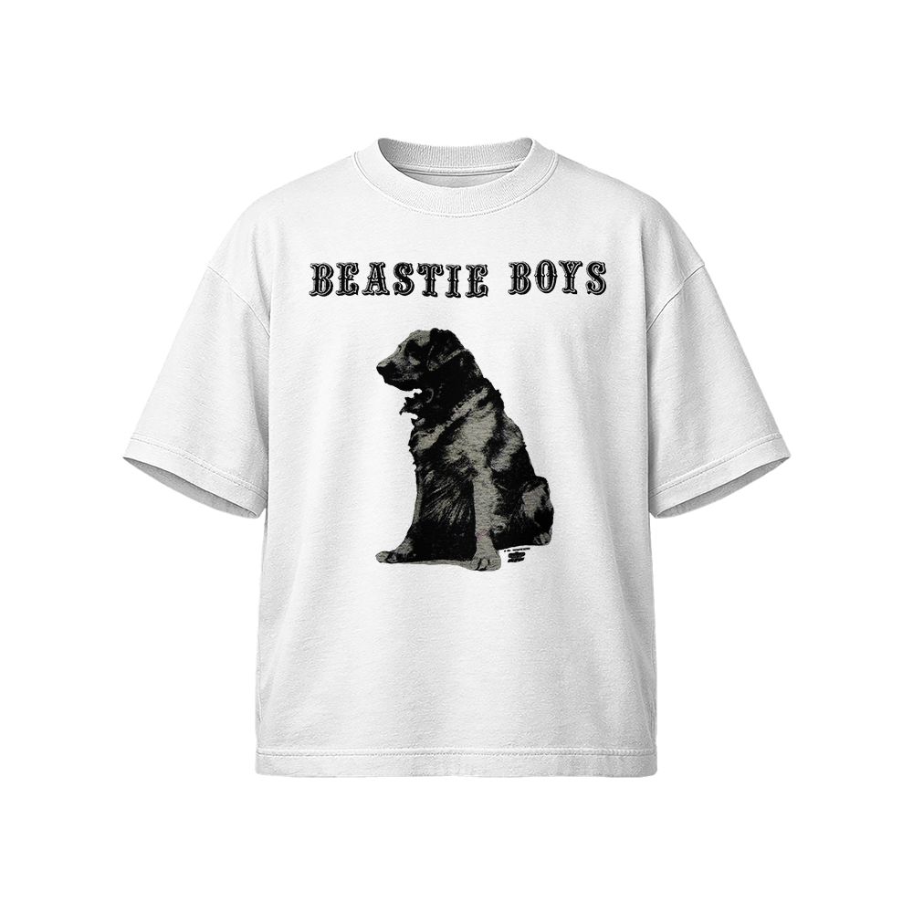 1994 Beastie Boys Vintage T-Shirt, Retro Hip Hop Graphic Tee, 90s Rap Shirt, Streetwear Gift