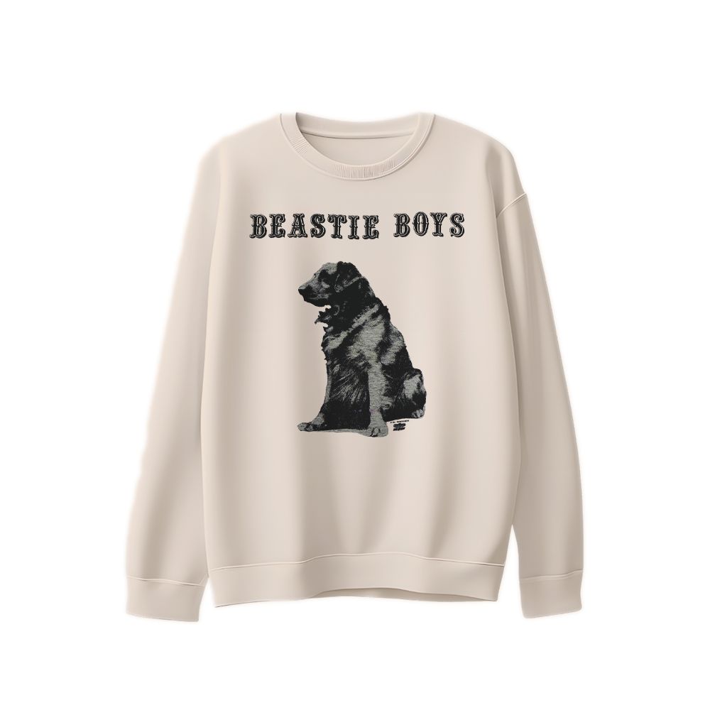 1994 Beastie Boys Vintage T-Shirt, Retro Hip Hop Graphic Tee, 90s Rap Shirt, Streetwear Gift