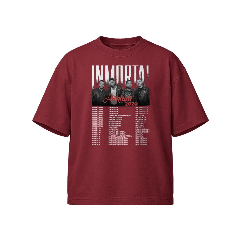 Aventura Immortal 2020 Tour Latin Music Concert Graphic T-Shirt
