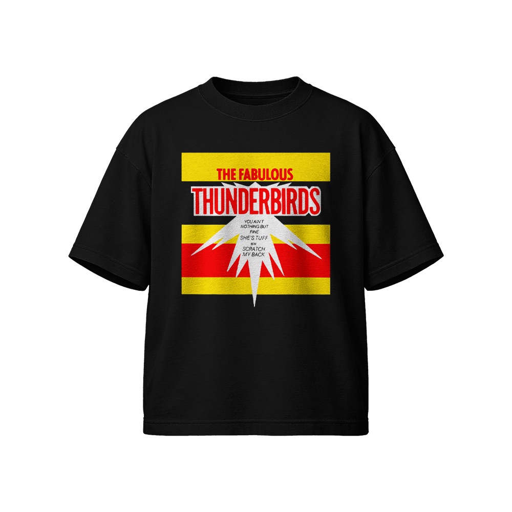 The Fabulous Thunderbirds Retro Graphic T-Shirt - Vintage Blues Rock Oversized Tee