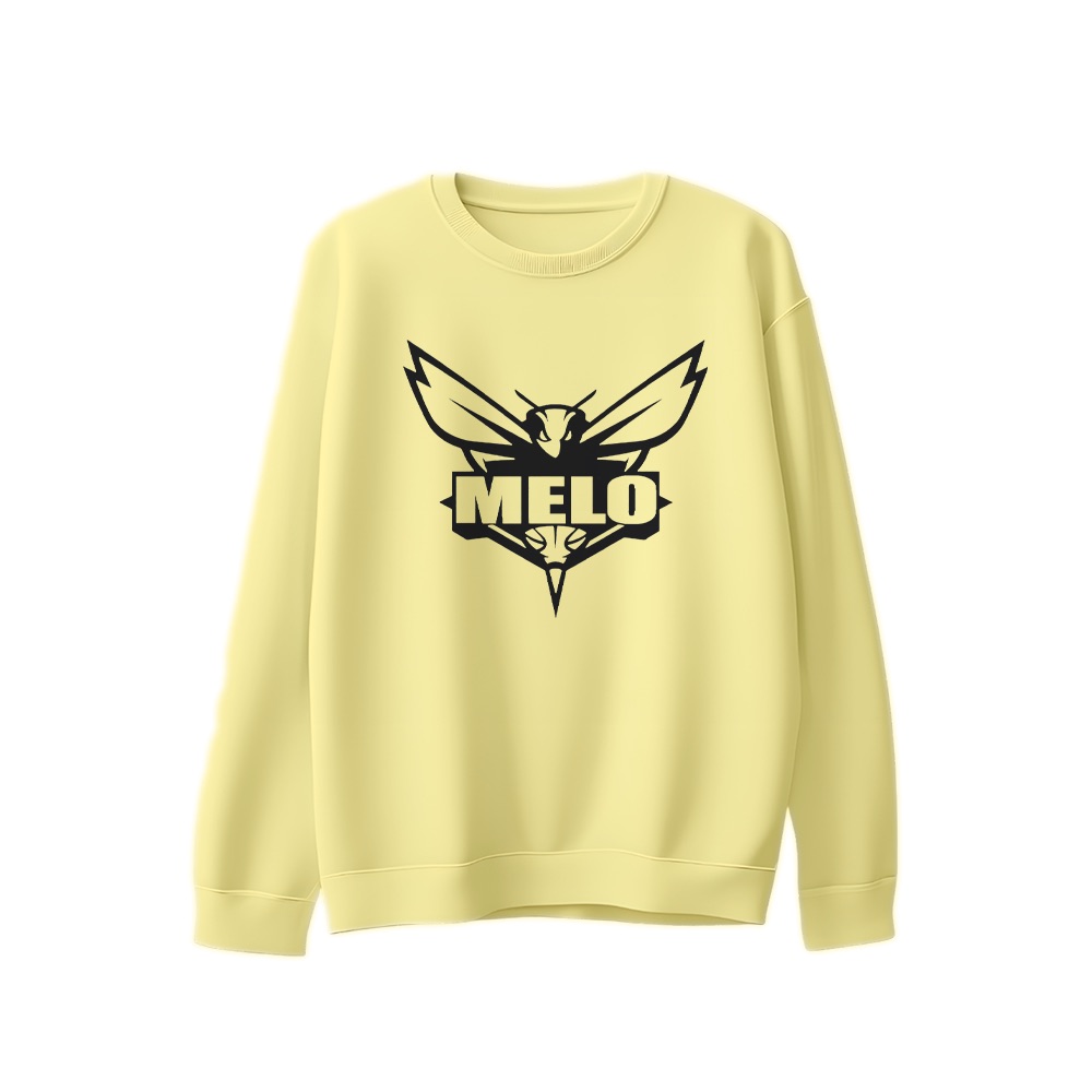 LaMelo Ball T-Shirt – Vintage Melo Charlotte Hornets Basketball Graphic Tee